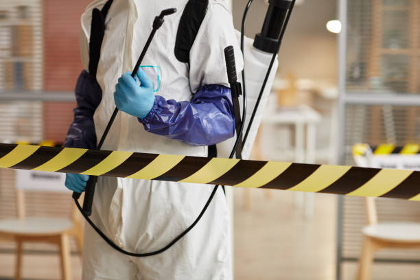 Professional Sewage Cleanup technician working in Ashland, NE